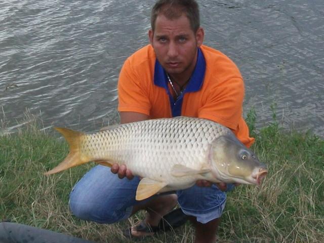 Diverse Partide - DSCF2694.JPG